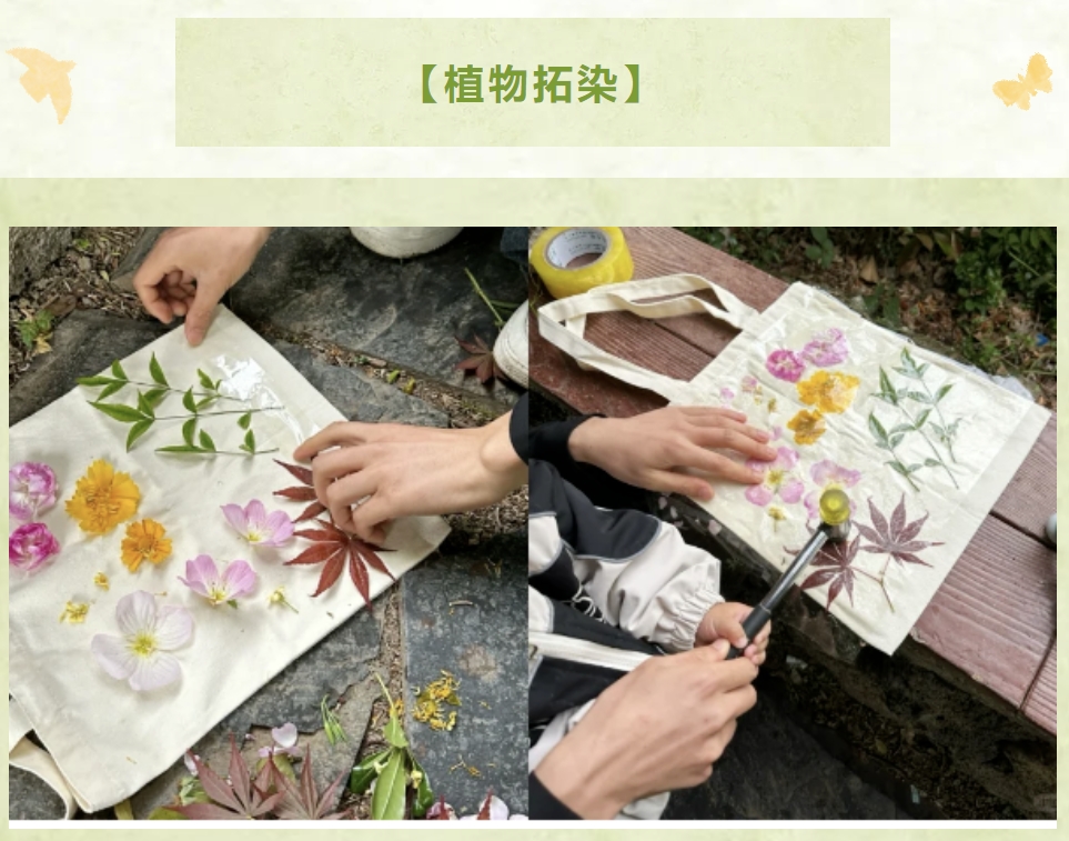 春日植物手作活动方案|枫动体育组织策划春日限定·植物手作活动赛事,解锁新乐趣!欢迎预约咨询~ 资讯动态 第4张-上海枫动体育文化发展有限公司