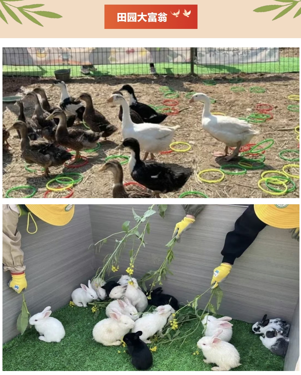 五一劳动节团建主题活动|枫动体育为企业工会组织策划五一团建主题活动方案,致敬劳动者!欢迎预约~ 资讯动态 第4张-上海枫动体育文化发展有限公司